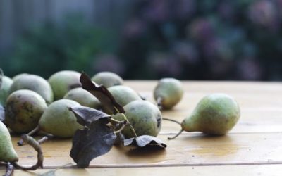 December treats from the garden and beyond