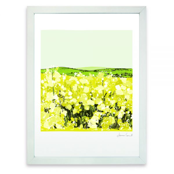 Dean Farm Oil Seed Rape