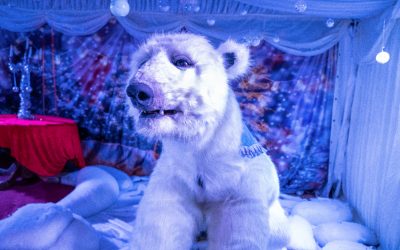 POLAR returns this December!