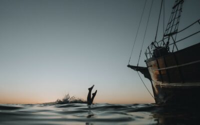 Through Nature’s Lens